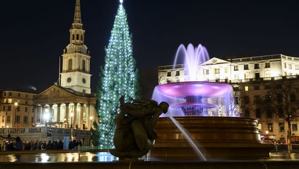 Рождественская ель на Трафальгарской площади в Лондоне - 俄羅斯衛星通訊社