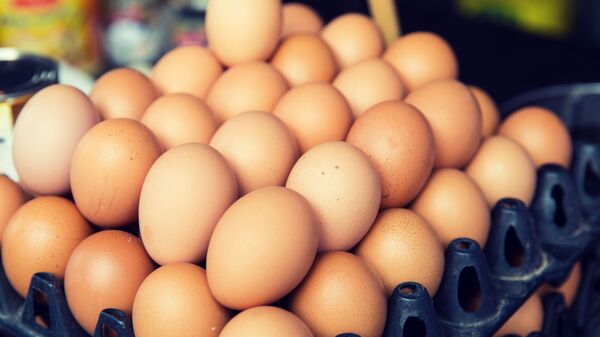 俄进入全球鸡蛋人均消费量前十 - 俄罗斯卫星通讯社