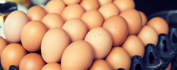 醫生發現吃多少雞蛋不會危害健康 - 俄羅斯衛星通訊社