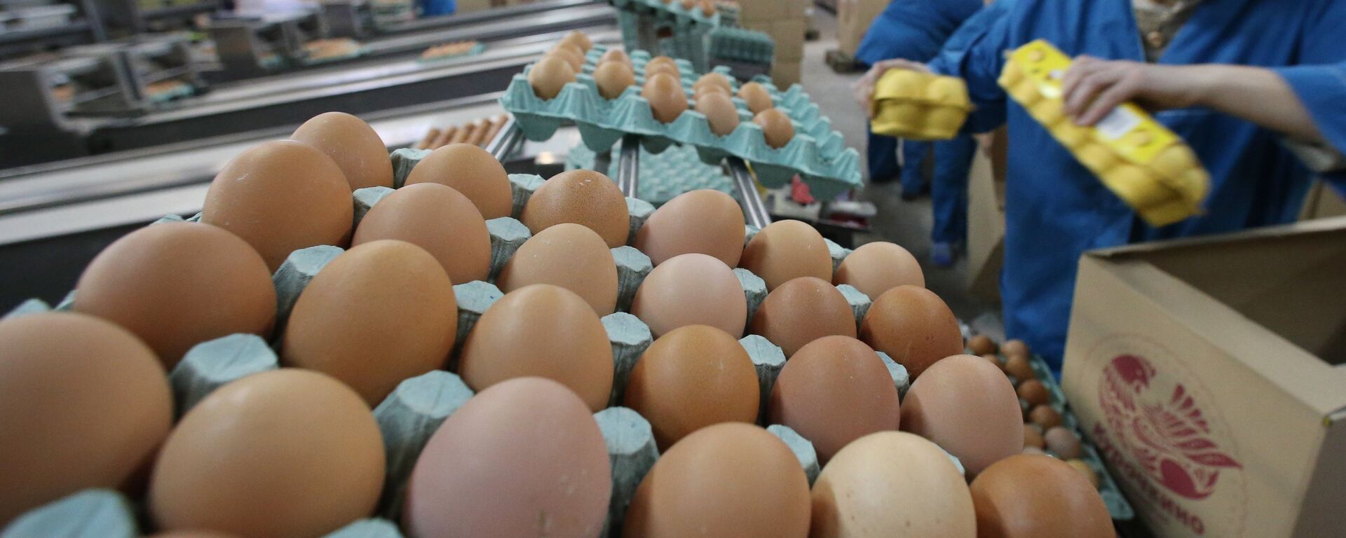 马来西亚政府以控制价格的方式平抑“鸡蛋危机” - 俄罗斯卫星通讯社, 1920, 20.12.2018