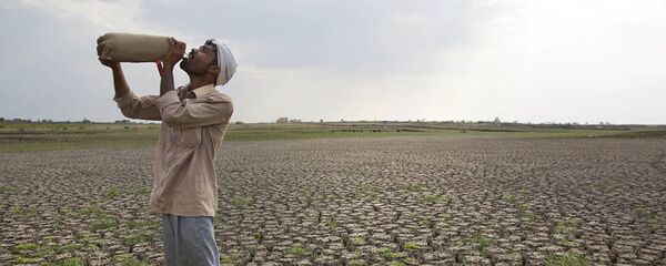 彭博社分析师：2019年将出现全球饥荒 - 俄罗斯卫星通讯社