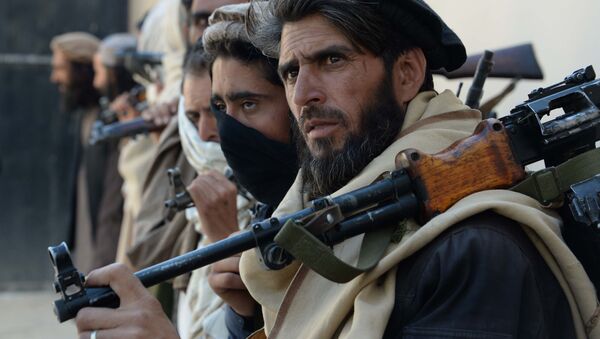 聯合國對塔利班威脅破壞阿富汗大選表示擔憂 - 俄羅斯衛星通訊社