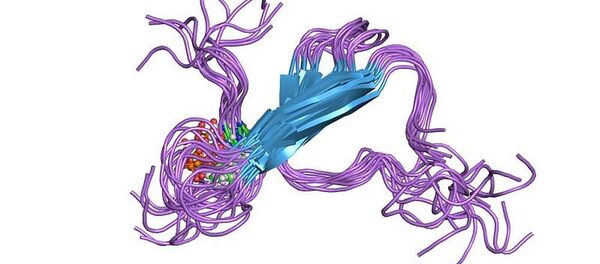 Tau蛋白 - 俄罗斯卫星通讯社