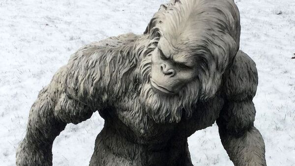 科学家彻底揭开雪人之谜 - 俄罗斯卫星通讯社