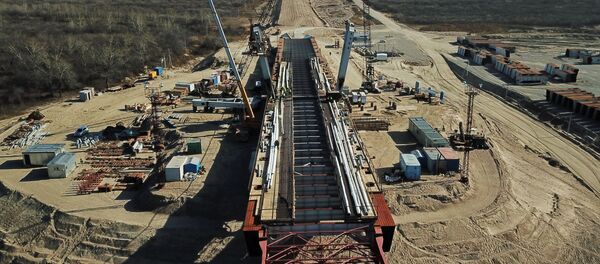 俄驻华大使：俄中已开始就设立跨境大桥口岸问题进行磋商 - 俄罗斯卫星通讯社