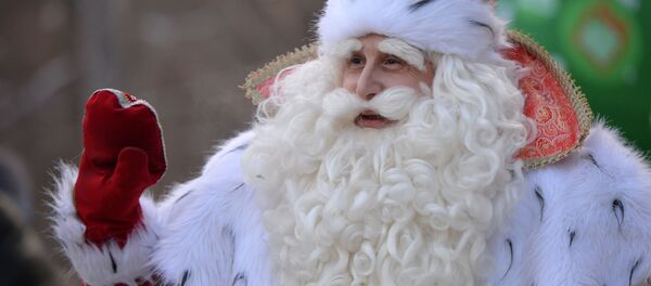 Всероссийский Дед Мороз  - 俄罗斯卫星通讯社