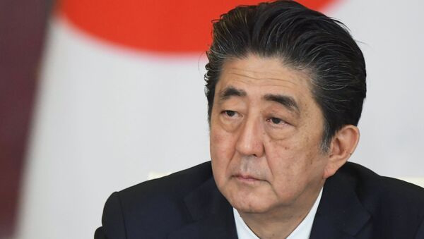 媒体：日本首相安倍晋三计划下半年访华 - 俄罗斯卫星通讯社