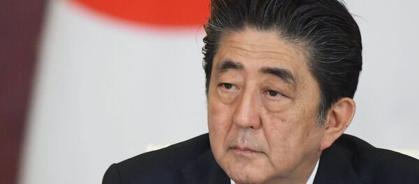 Премьер-министр Японии Синдзо Абэ - 俄罗斯卫星通讯社