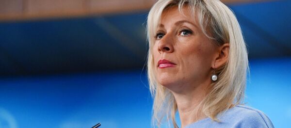 俄外交部：俄日两国外长将于1月14日就和平协议问题会面磋商 - 俄罗斯卫星通讯社