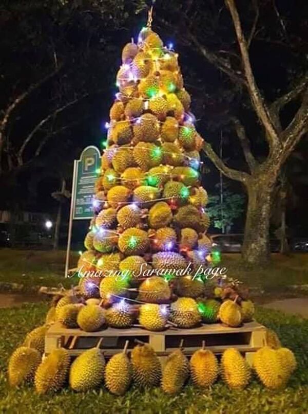 馬來西亞現榴蓮聖誕樹 馬來西亞現榴蓮聖誕樹 - 俄羅斯衛星通訊社