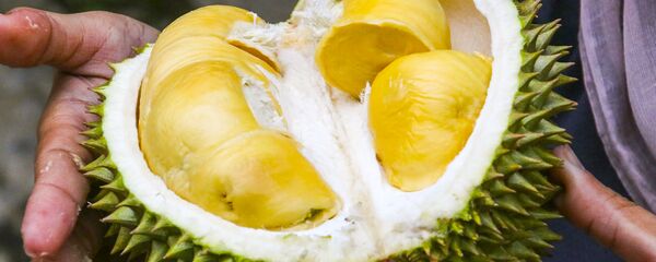 泰国牙医：榴莲是处理口臭的新方法 - 俄罗斯卫星通讯社