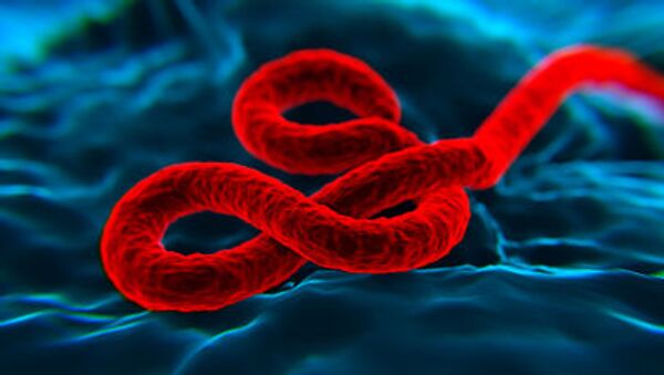 Вирус лихорадки Эбола под микроскопом - 俄罗斯卫星通讯社