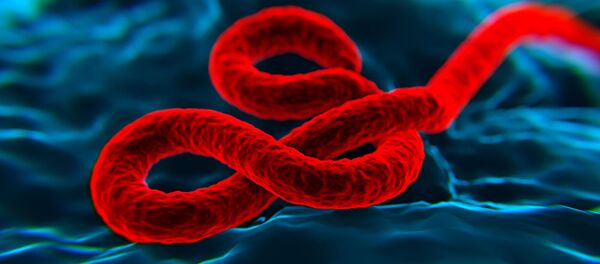 刚果民主共和国最近一年有超1600人死于埃博拉病毒 - 俄罗斯卫星通讯社