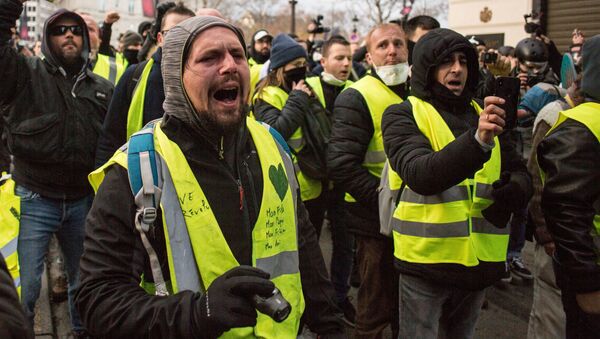 “黃背心”來到巴黎集會慶祝抗議運動滿三個月 - 俄羅斯衛星通訊社