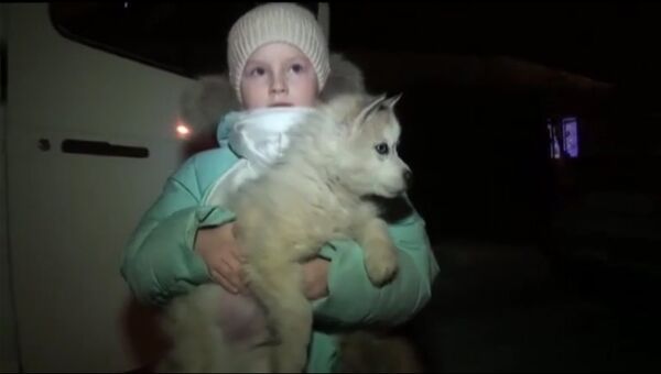 普京又送狗狗了 - 俄罗斯卫星通讯社