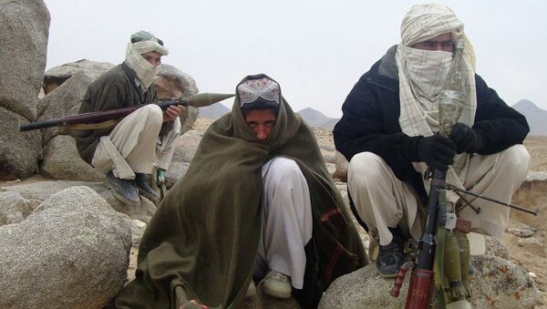 Taliban fighters. - 俄罗斯卫星通讯社