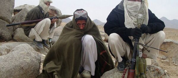 塔利班袭击阿富汗检查站至8名政府人员死亡 - 俄罗斯卫星通讯社