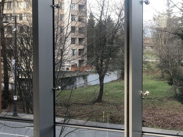 “池塘還是牆”：網上再現新光學錯覺圖 - 俄羅斯衛星通訊社