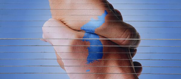 Постер в Сеуле, изображающий Корейский полуостров в виде рукопожатия - 俄罗斯卫星通讯社