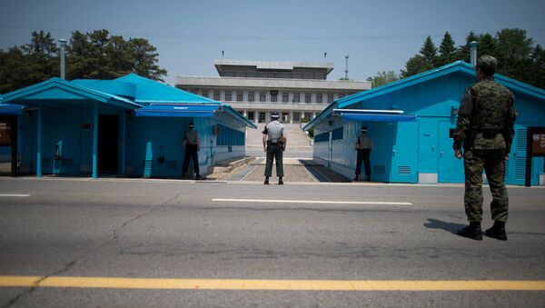 媒体：一朝鲜男子穿越朝韩边界线时被韩国军方拘捕 - 俄罗斯卫星通讯社