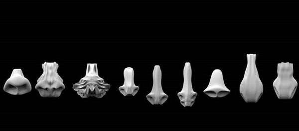 火星人的鼻子看上去什么样 火星人的鼻子看上去什么样 - 俄罗斯卫星通讯社