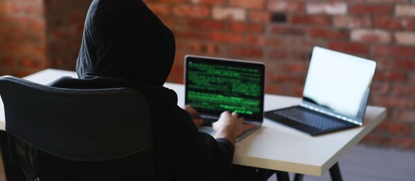 Хакер за компьютером - 俄罗斯卫星通讯社