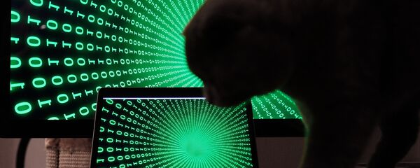 互联网开发者:互联网新发明或将来自俄罗斯或中国 互联网开发者:互联网新发明或将来自俄罗斯或中国 - 俄罗斯卫星通讯社