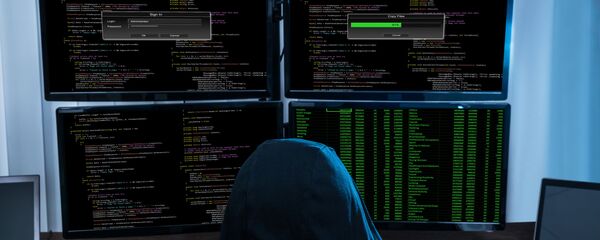 黑客 - 俄罗斯卫星通讯社