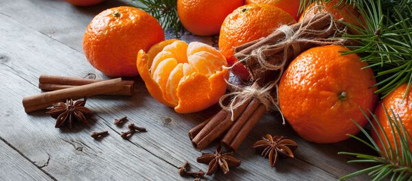 國際空間站宇航員帶橘子慶新年 - 俄羅斯衛星通訊社