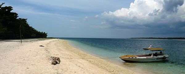 美国取消菲律宾沿海地震海啸警报 - 俄罗斯卫星通讯社