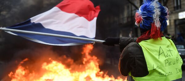 法国，12月29日 - 俄罗斯卫星通讯社