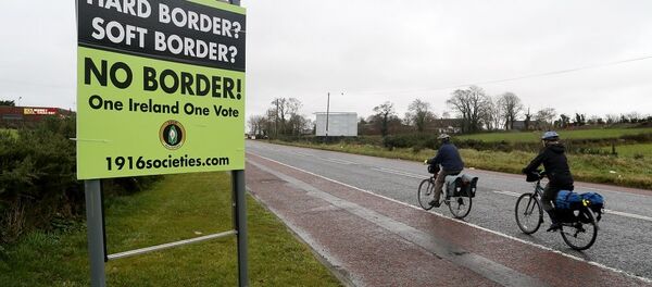 爱尔兰和北爱尔兰边境 - 俄罗斯卫星通讯社