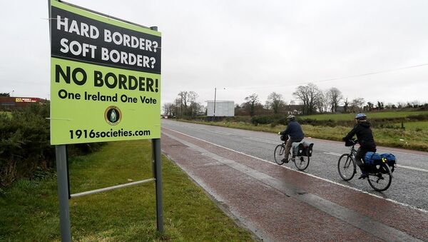 爱尔兰和北爱尔兰边境 - 俄罗斯卫星通讯社