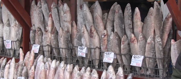 世界上最冷的街市 - 俄罗斯卫星通讯社