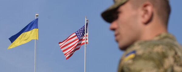 外媒：前美国驻乌大使称华盛顿可能在2个月内向基辅提供武器 - 俄罗斯卫星通讯社