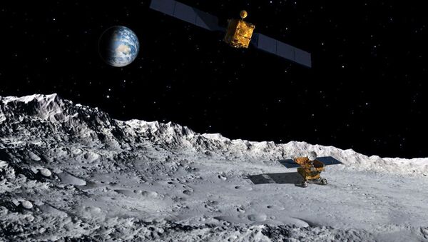 在月球上栽培植物：艰难但可能的任务 - 俄罗斯卫星通讯社