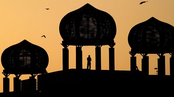 A Pakistani observes the view from a dome-shaped terrace at a park in Islamabad, Pakistan - 俄罗斯卫星通讯社