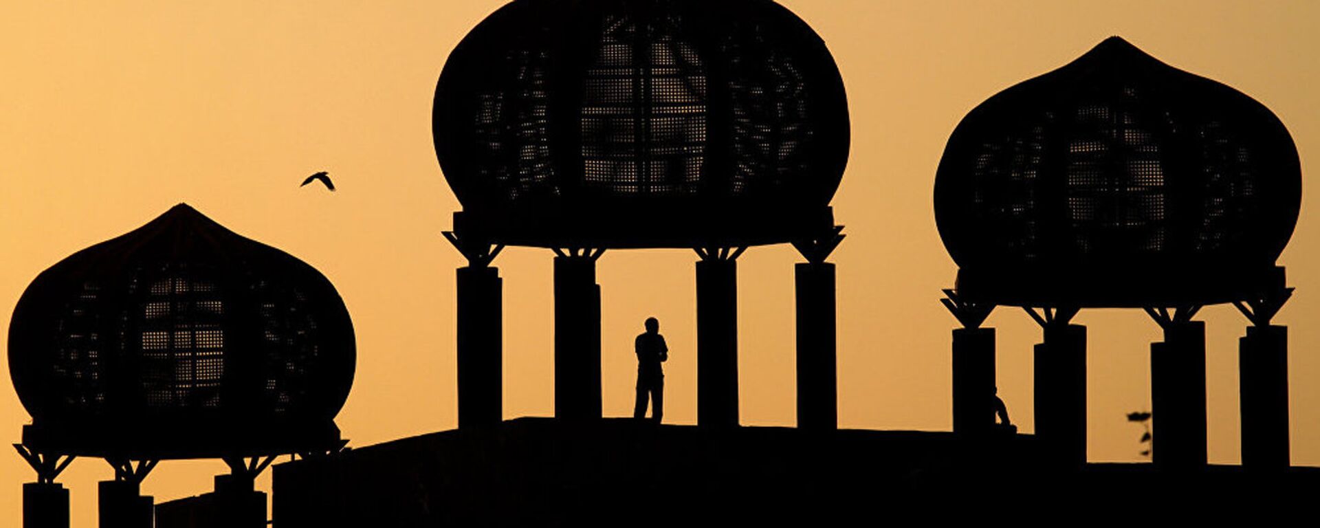 A Pakistani observes the view from a dome-shaped terrace at a park in Islamabad, Pakistan - 俄罗斯卫星通讯社, 1920, 24.09.2021