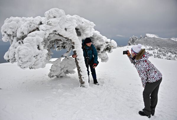 度假的人們在克里米亞艾-彼得高原上拍照 - 俄羅斯衛星通訊社