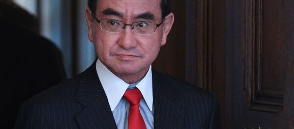 日本外相计划1月14日与拉夫罗夫商讨和平条约问题 - 俄罗斯卫星通讯社