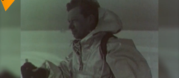 首次南极探险 - 俄罗斯卫星通讯社