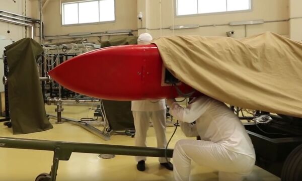 测试“海燕”核动力巡航导弹 - 俄罗斯卫星通讯社