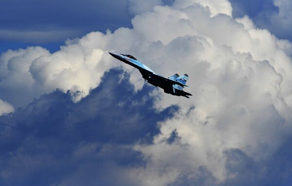 苏-25歼击机 - 俄罗斯卫星通讯社