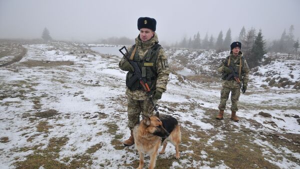 乌克兰边防军人 - 俄罗斯卫星通讯社