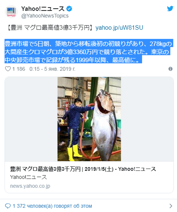 东京拍卖会上一条金枪鱼拍出310万美元高价 东京拍卖会上一条金枪鱼拍出310万美元高价 - 俄罗斯卫星通讯社