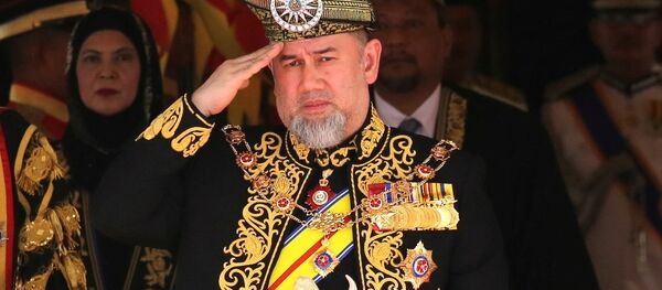 苏丹穆罕默德五世 - 俄罗斯卫星通讯社