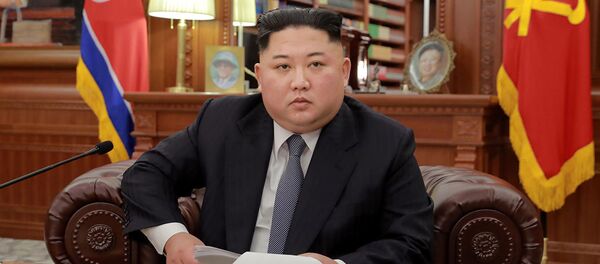 媒體：金正恩計劃2月訪問越南 - 俄羅斯衛星通訊社