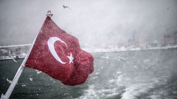Турецкий флаг на судне в проливе Босфор - 俄罗斯卫星通讯社