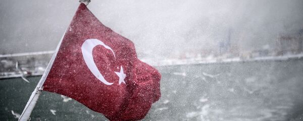 媒體：土耳其政府高端接待中國歌手 - 俄羅斯衛星通訊社