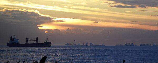 阿联酋水域油轮遭到潜水人员水下布雷攻击 - 俄罗斯卫星通讯社